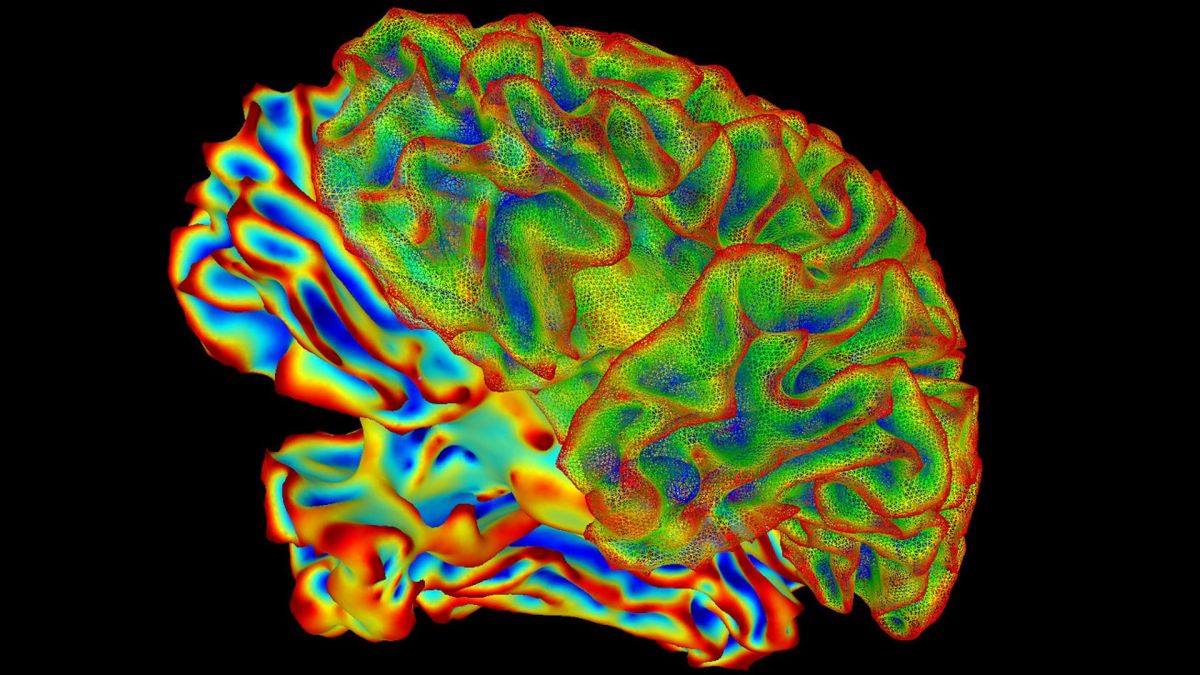 Un estudio confirma que el embarazo provoca cambios drásticos en el cerebro