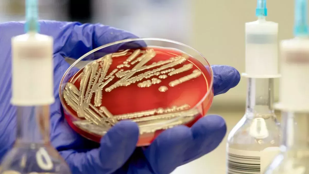 Los antidepresivos podrían alimentar el aumento de las superbacterias, según un estudio de laboratorio