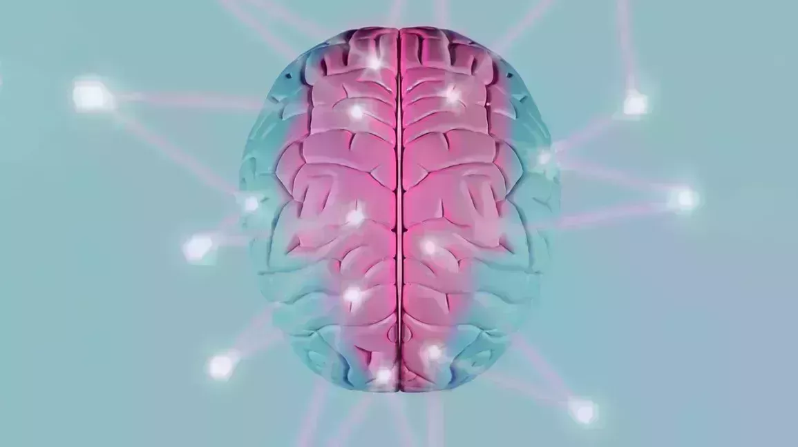 model of the human brain with Alzheimer’s and Parkinson’s areas highlighted
