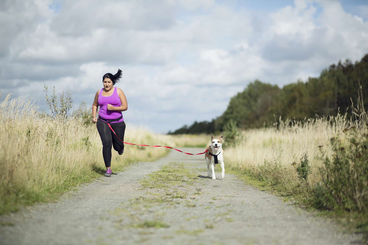 Lo que debe saber sobre correr con su perro