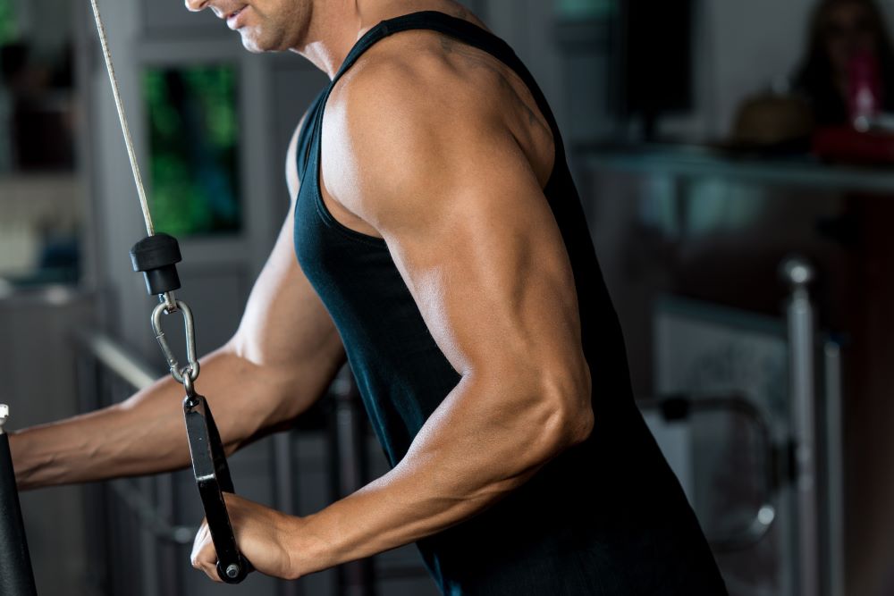 Cómo conseguir tríceps más grandes rápido: 5 métodos probados