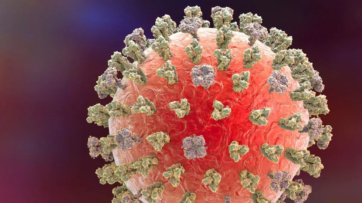 China registra la primera muerte humana por gripe aviar H3N8, según la OMS