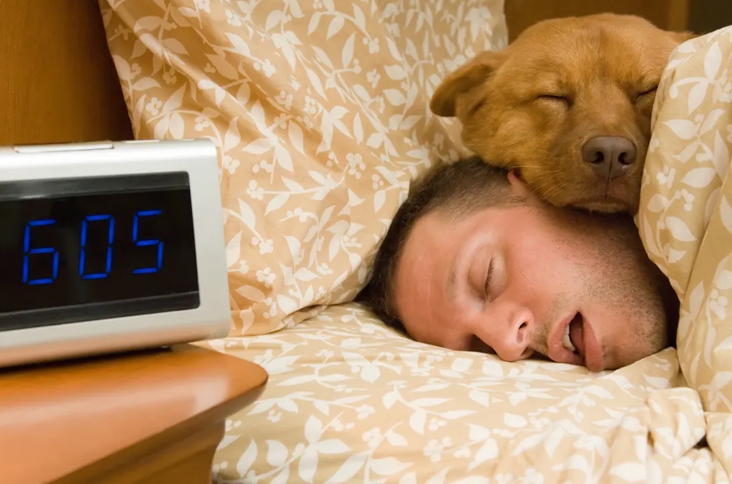 Los madrugones de los australianos podrían salvarles la vida