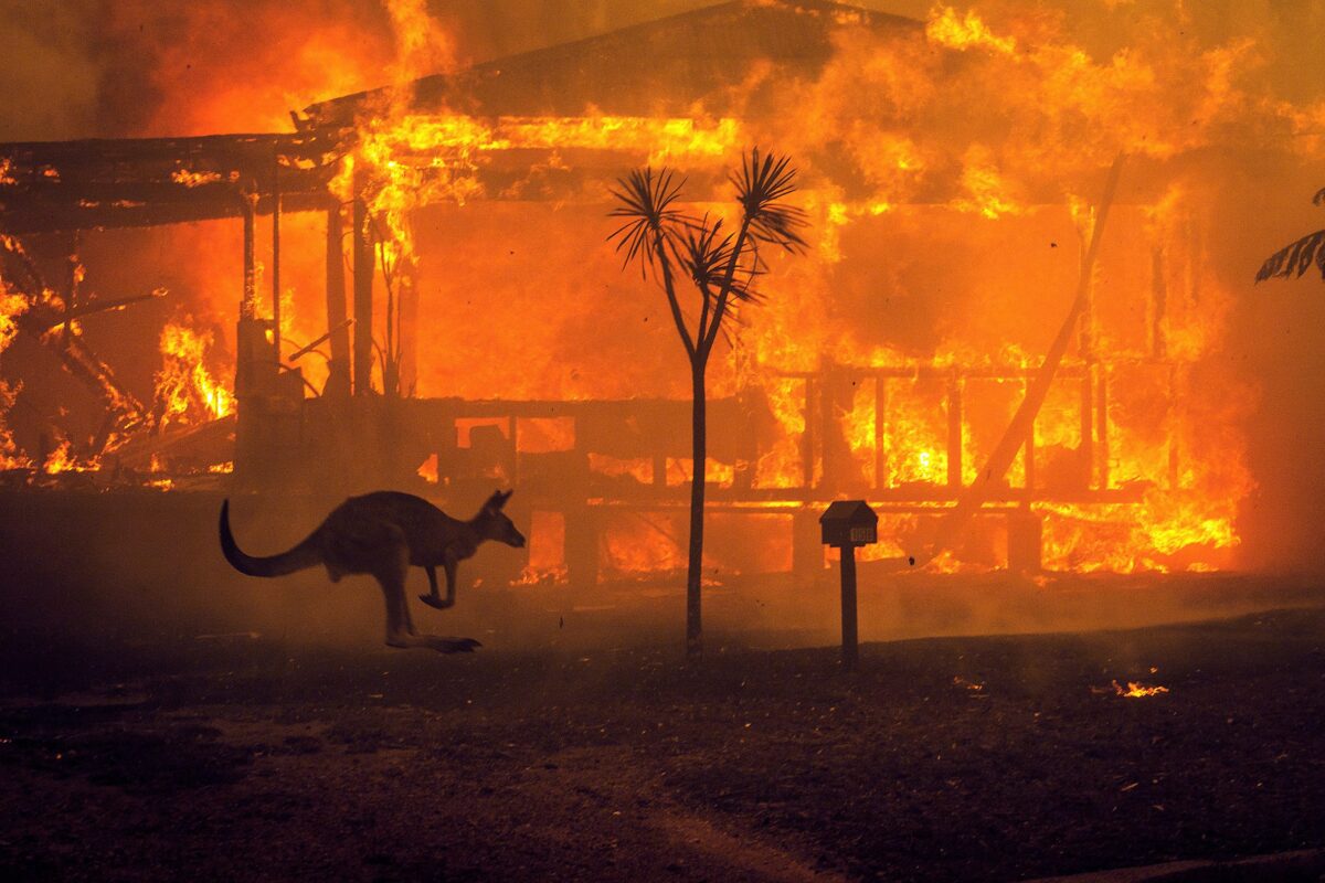 ¿Podría ser la próxima crisis de salud mental de Australia la solución secreta al cambio climático?