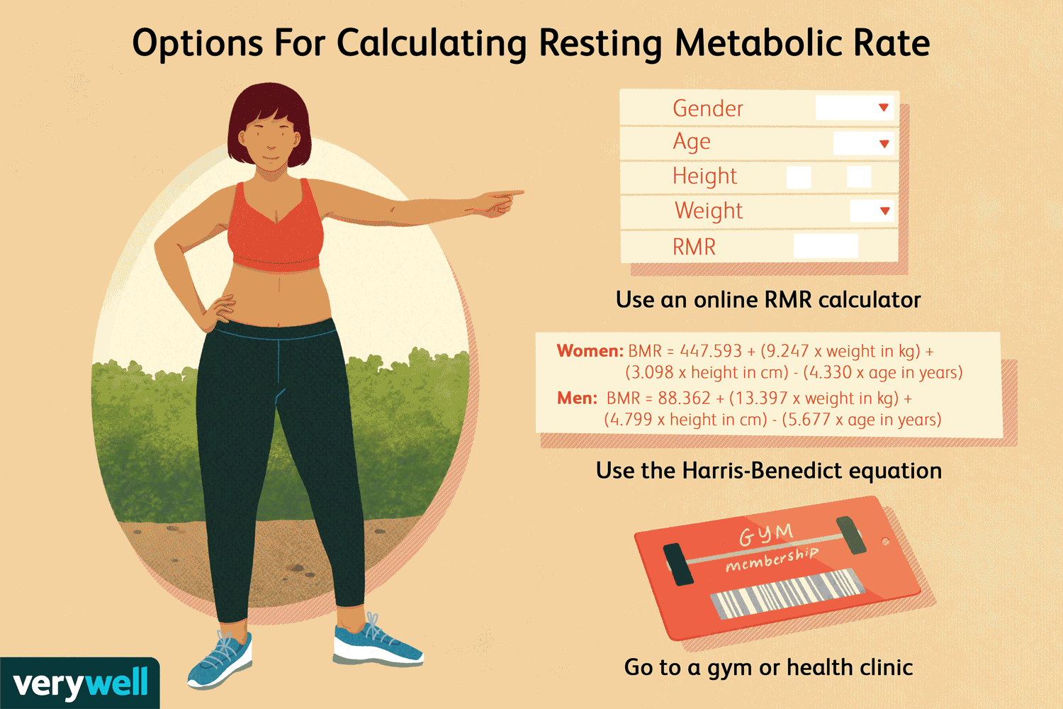 RMR: ¿Qué es la tasa metabólica en reposo?