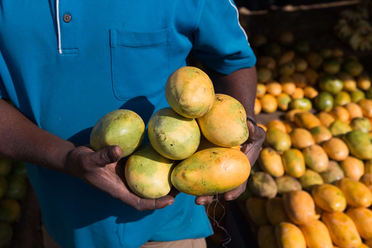Beneficios del mango africano para la salud