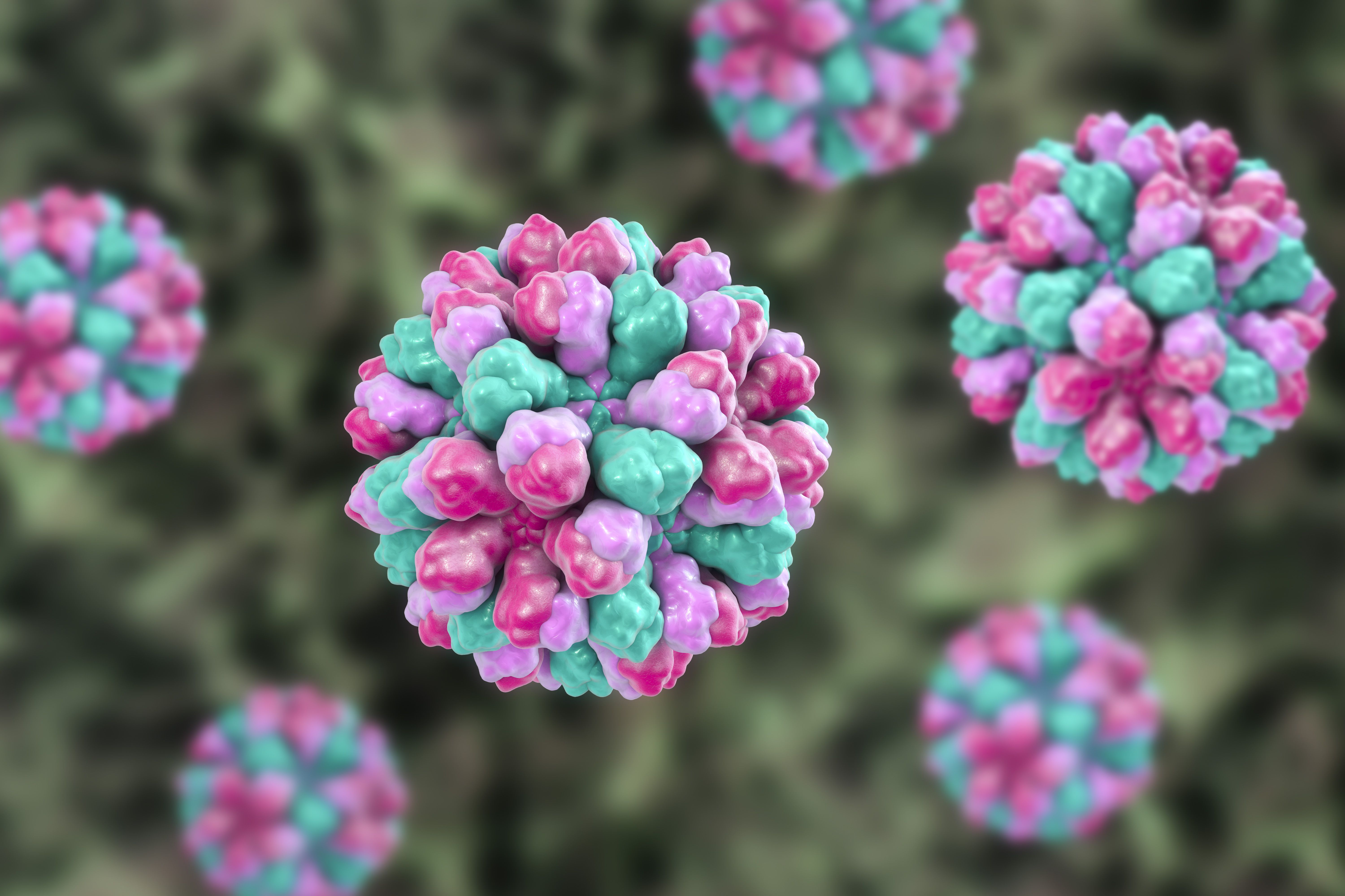 El norovirus vuelve a propagarse: ¿se puede contraer dos veces? Los expertos opinan