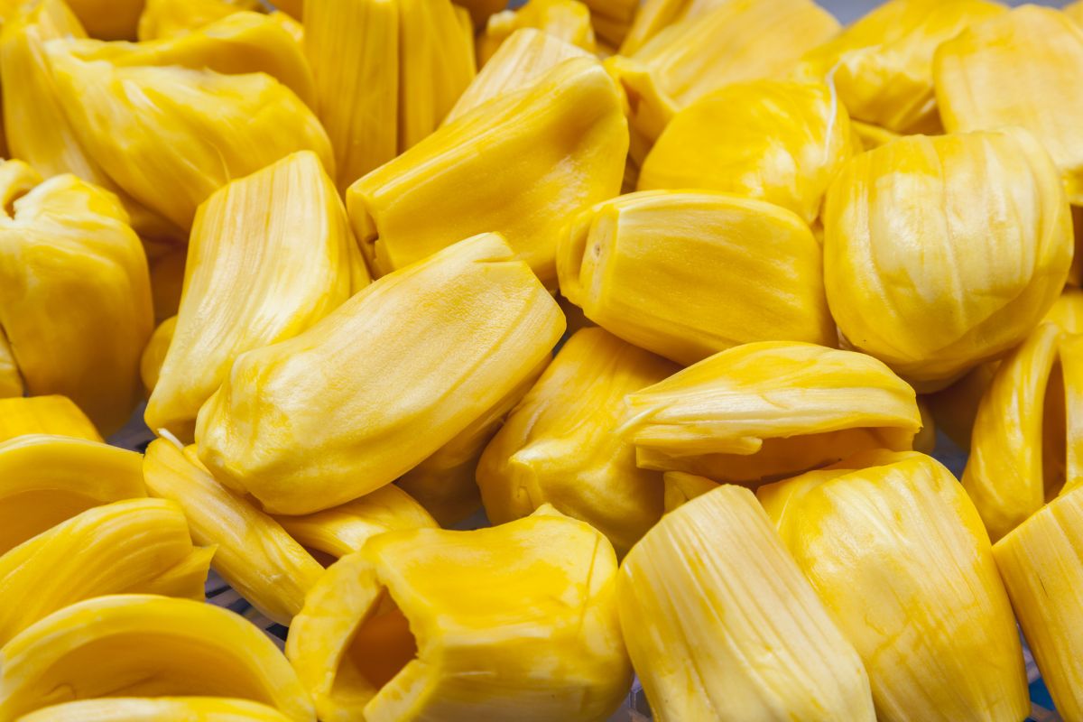 Cómo cocinar el jackfruit
