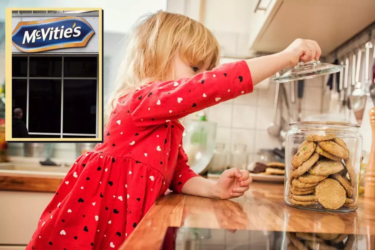 Los McVities piden a gritos que los mojemos en un café con leche