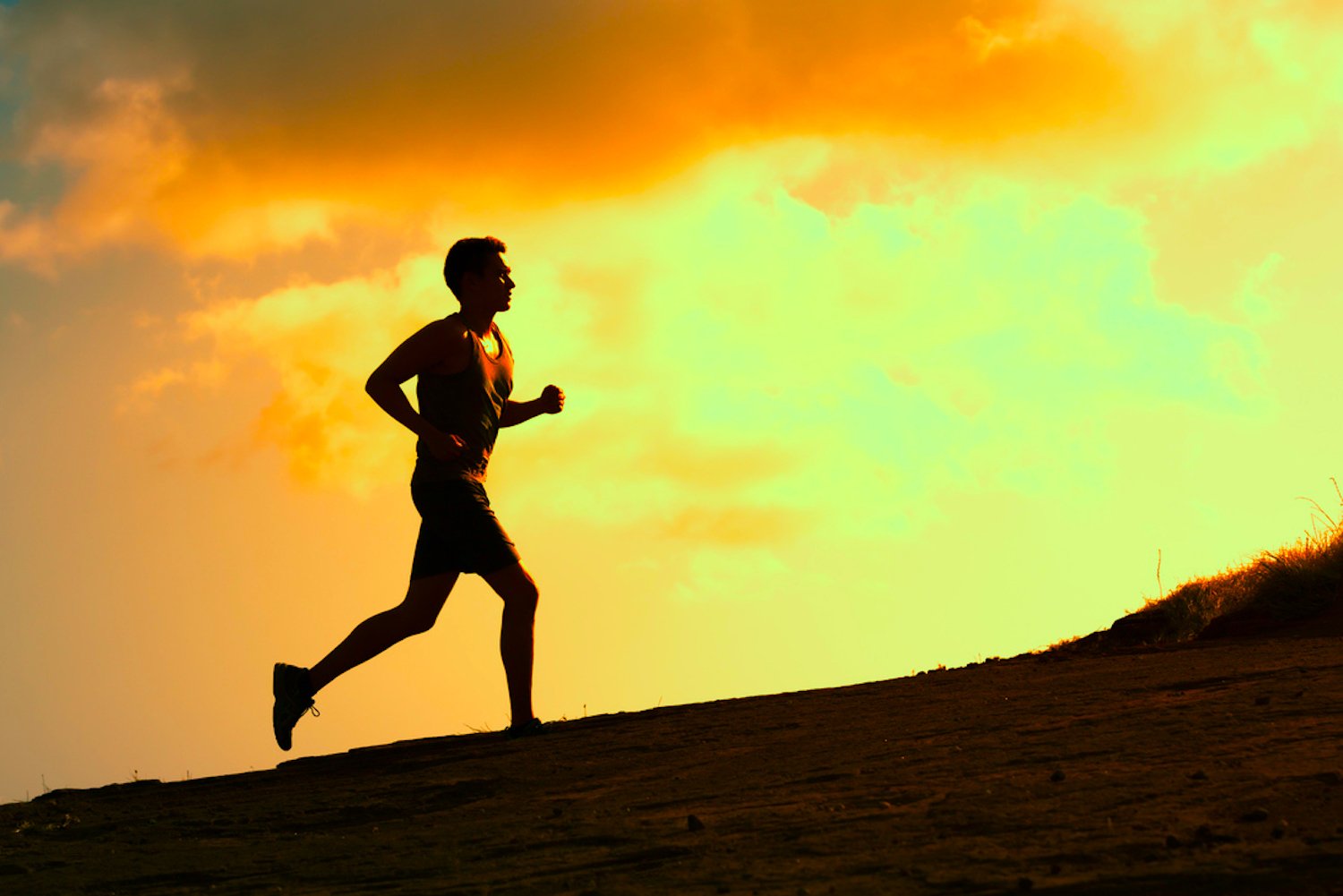 Cómo volver a correr" y todas las preguntas frecuentes sobre el running, respondidas por un atleta profesional