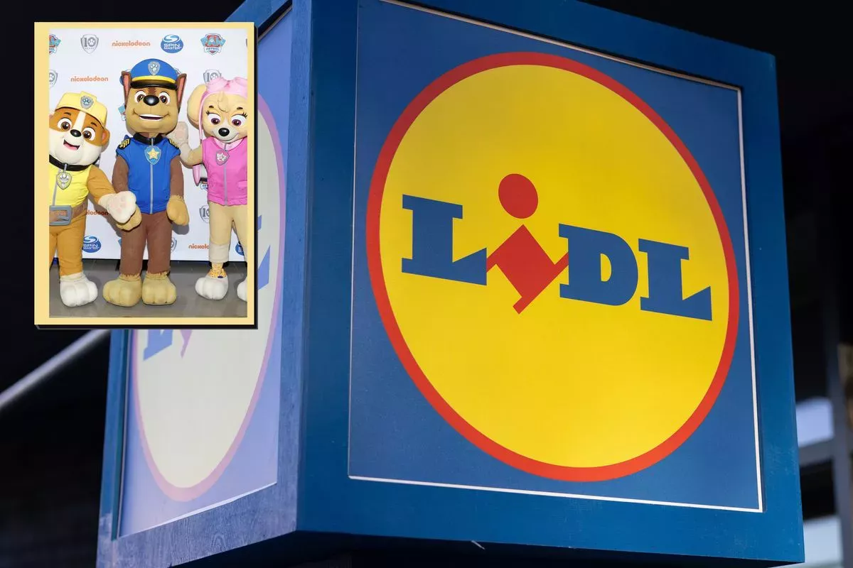 Lidl retira urgentemente del mercado 4 populares snacks de La Patrulla Canina por un error 