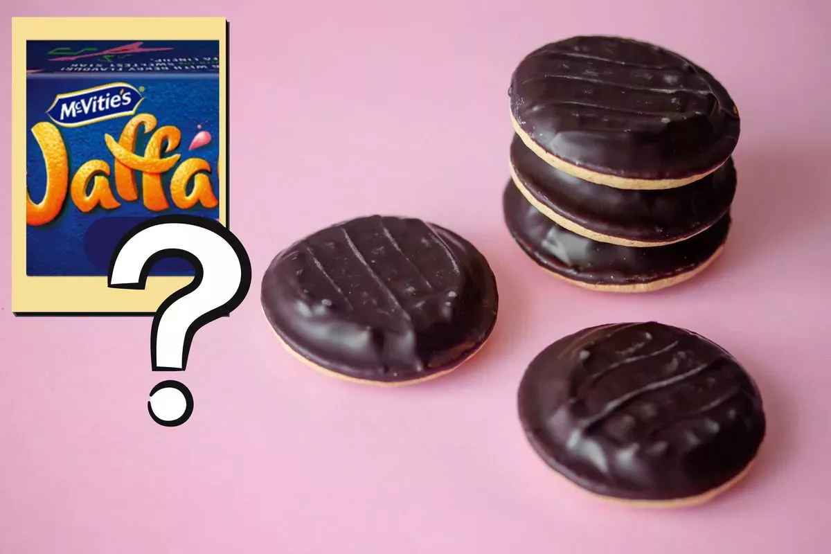 McVitie's lanza un nuevo sabor de Jaffa Cake pero aún no podemos decidir si es una galleta o un pastel