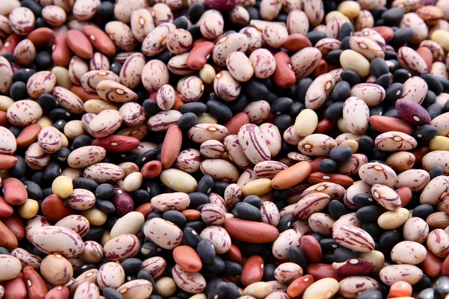 
		Por qué el molibdeno es un nutriente esencial (y las mejores formas de incluirlo en la dieta)