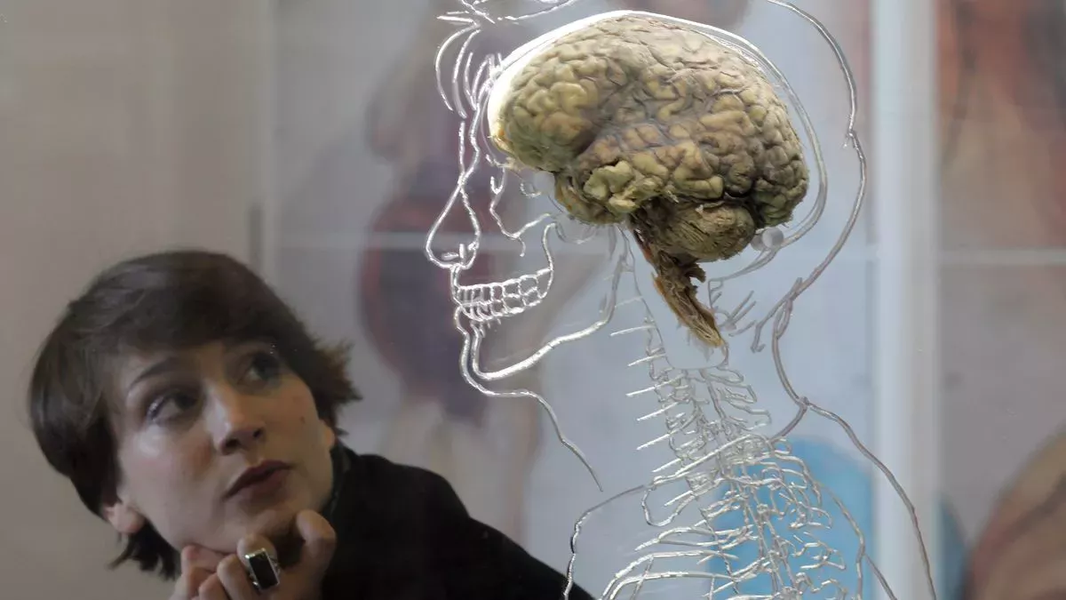 ¿Realmente utilizamos sólo el 10% de nuestro cerebro?