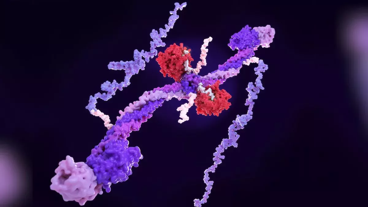 La niebla cerebral en la COVID prolongada puede estar relacionada con coágulos sanguíneos