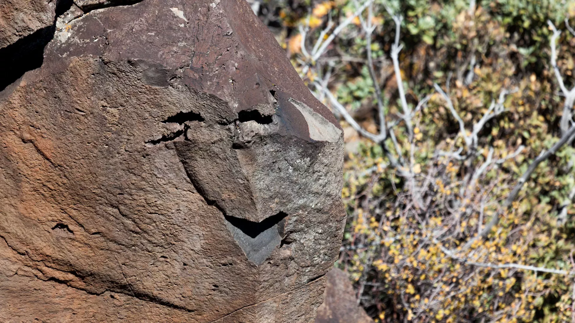 Las madres primerizas son más propensas a sufrir pareidolia, cuando el cerebro cree ver caras en objetos inanimados