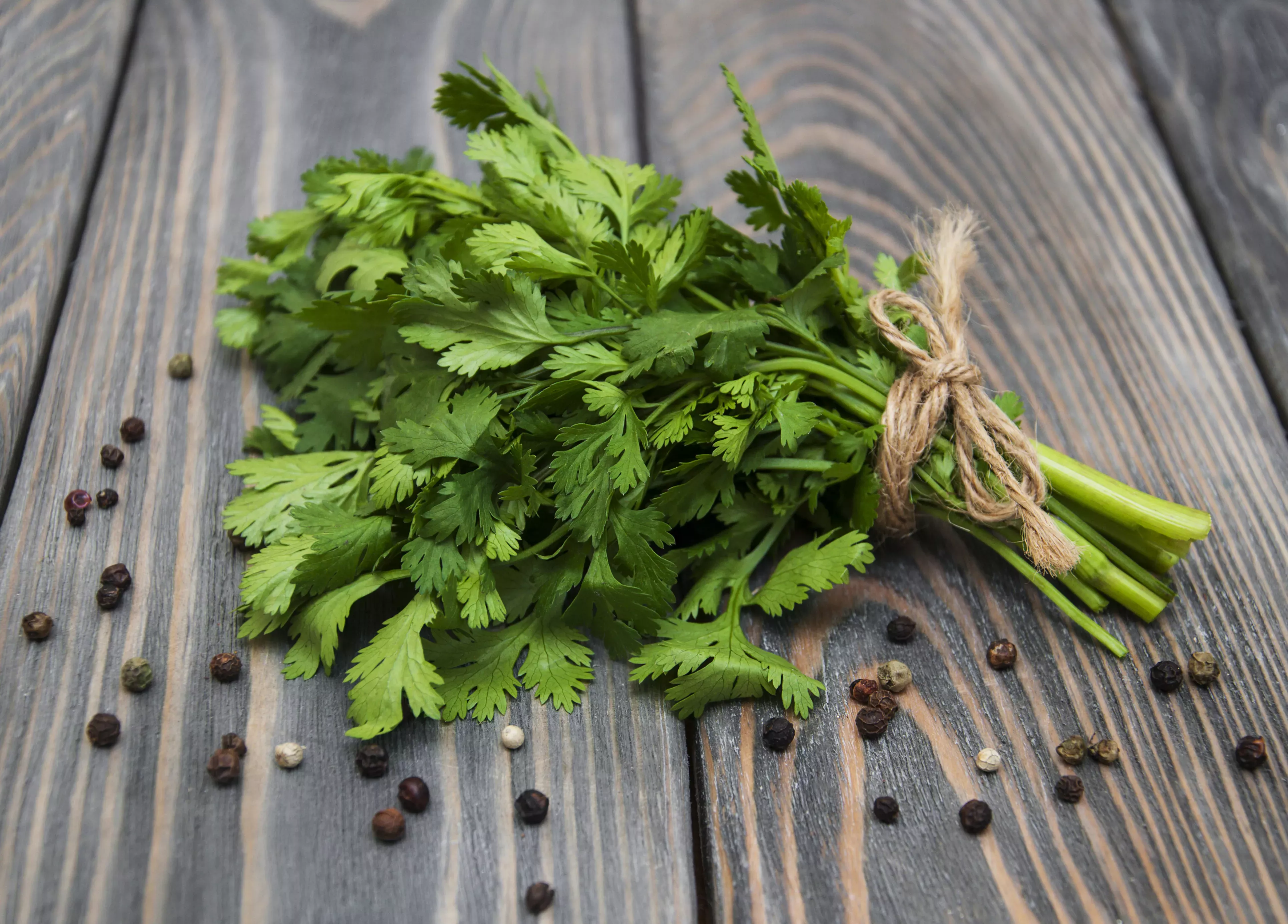 ¿Por qué algunas personas creen que el cilantro sabe a jabón?