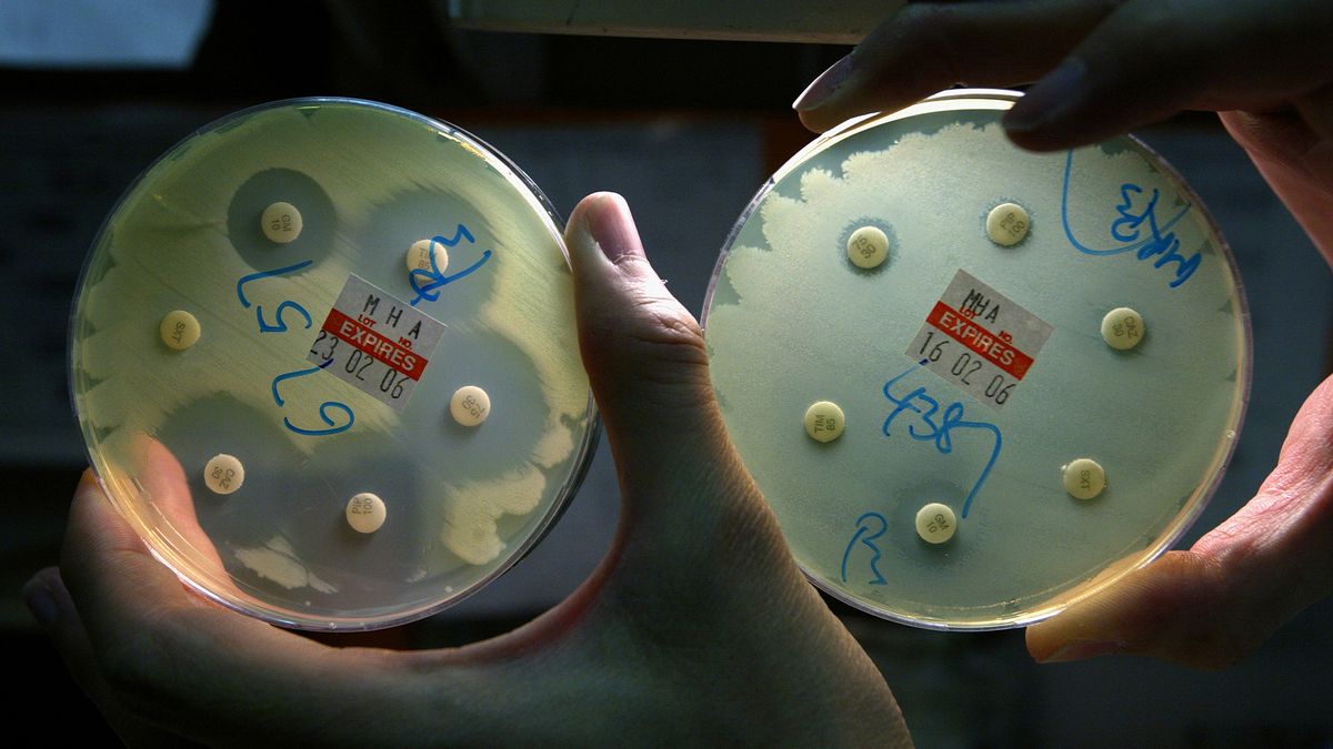 Las superbacterias van en aumento. Cómo evitar que los antibióticos queden obsoletos?