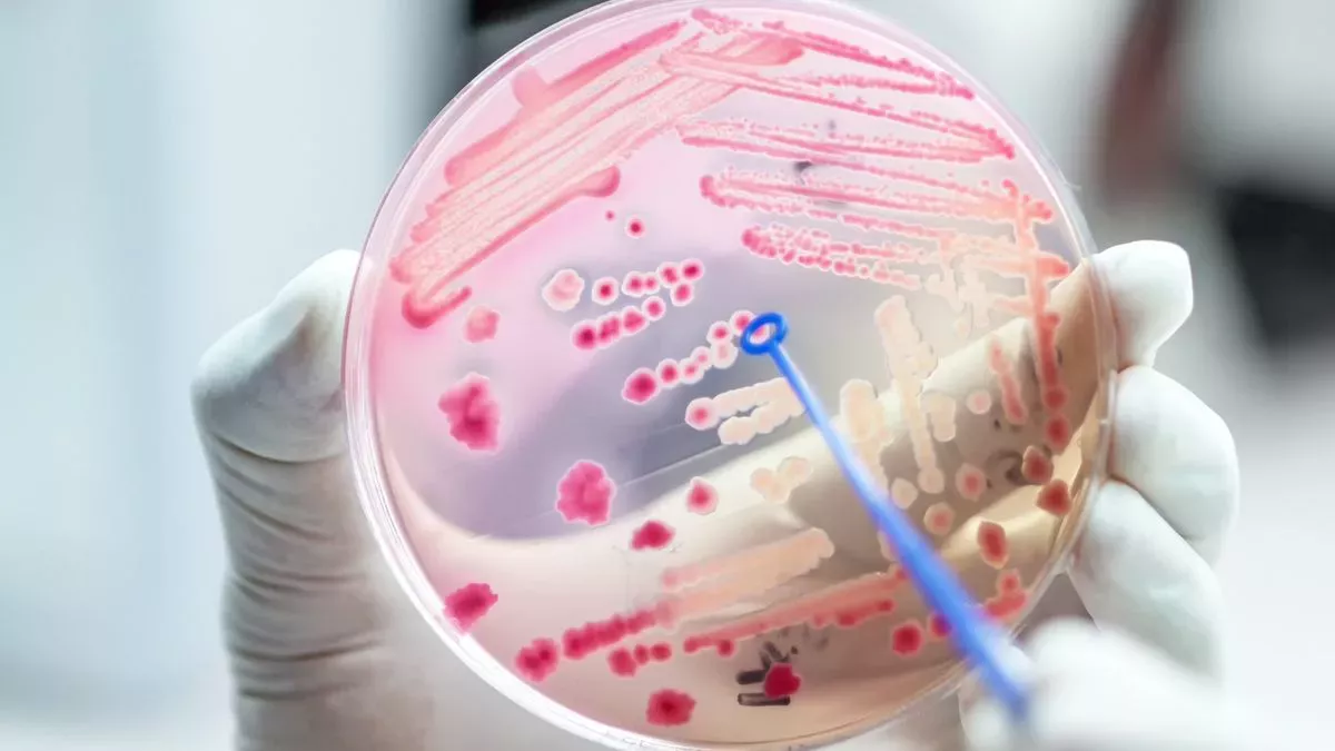 ¿Todavía tendremos antibióticos dentro de 50 años? 7 expertos opinan