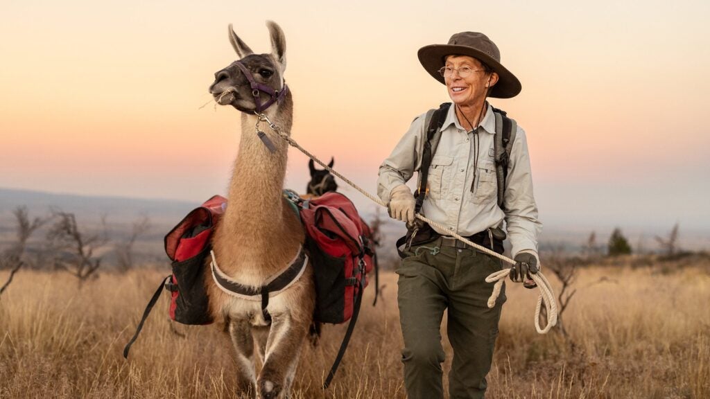 El encantador de llamas