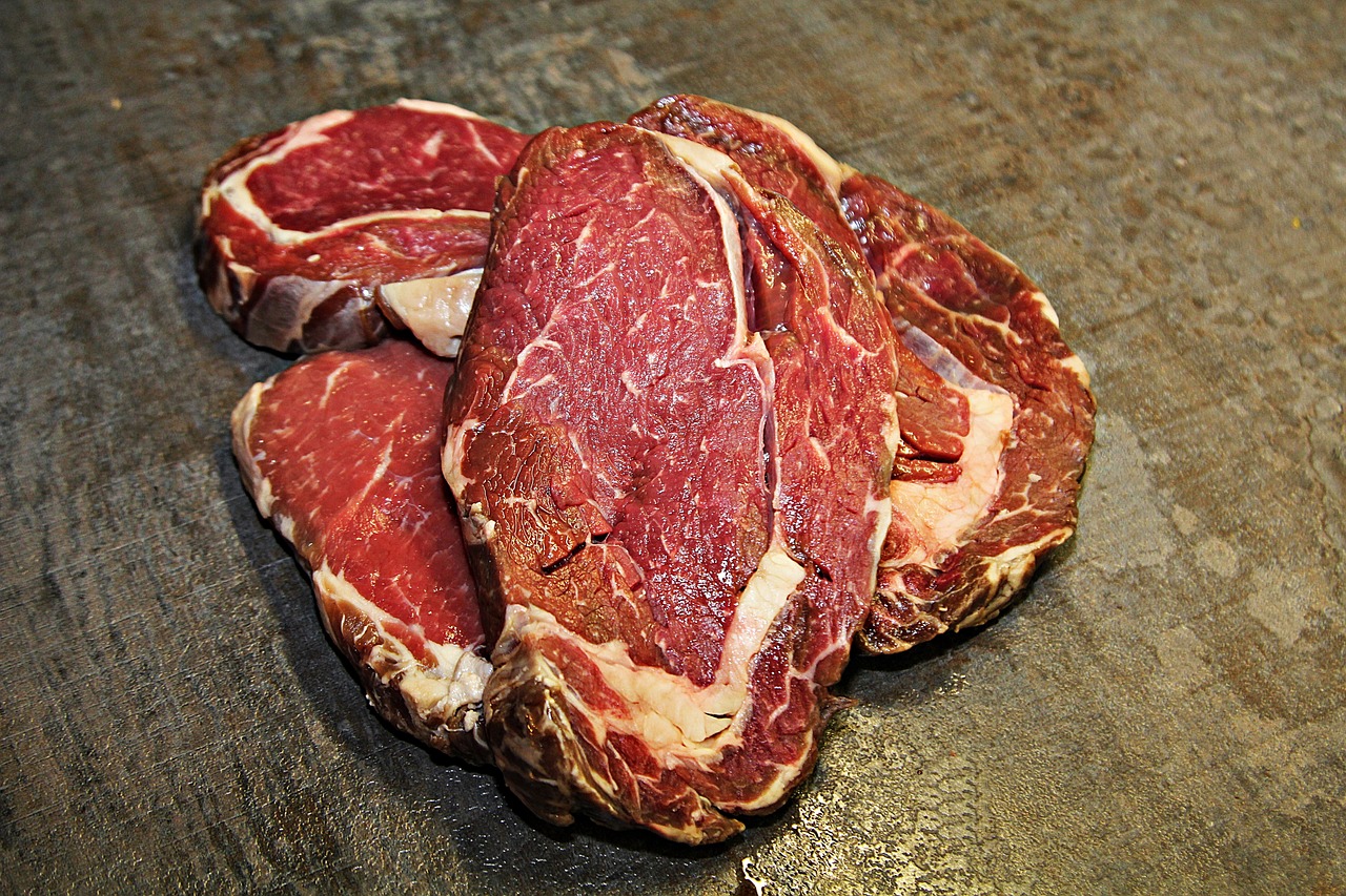 
		Todo lo que necesita saber sobre la Dieta del León