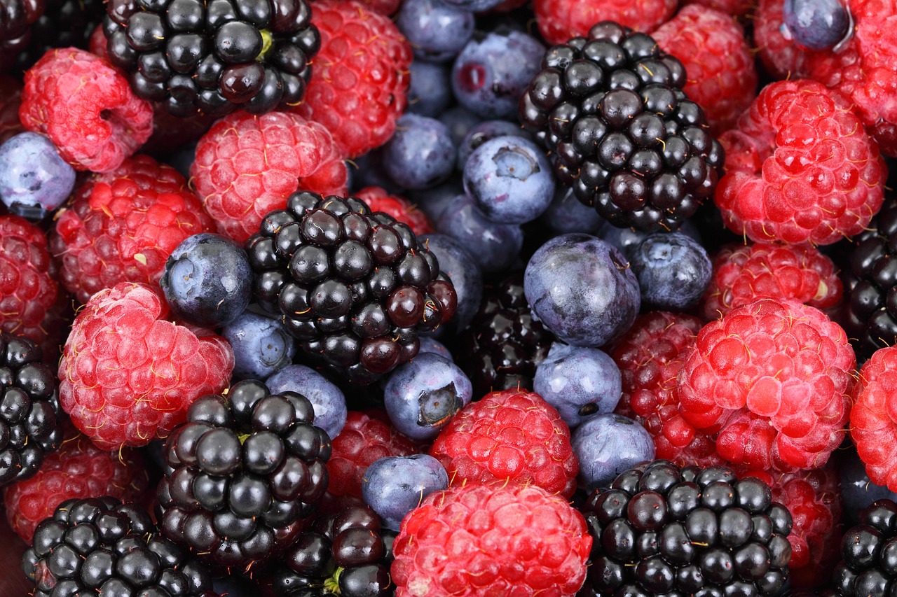 
		9 bayas que deberías incluir en tu dieta, y por qué