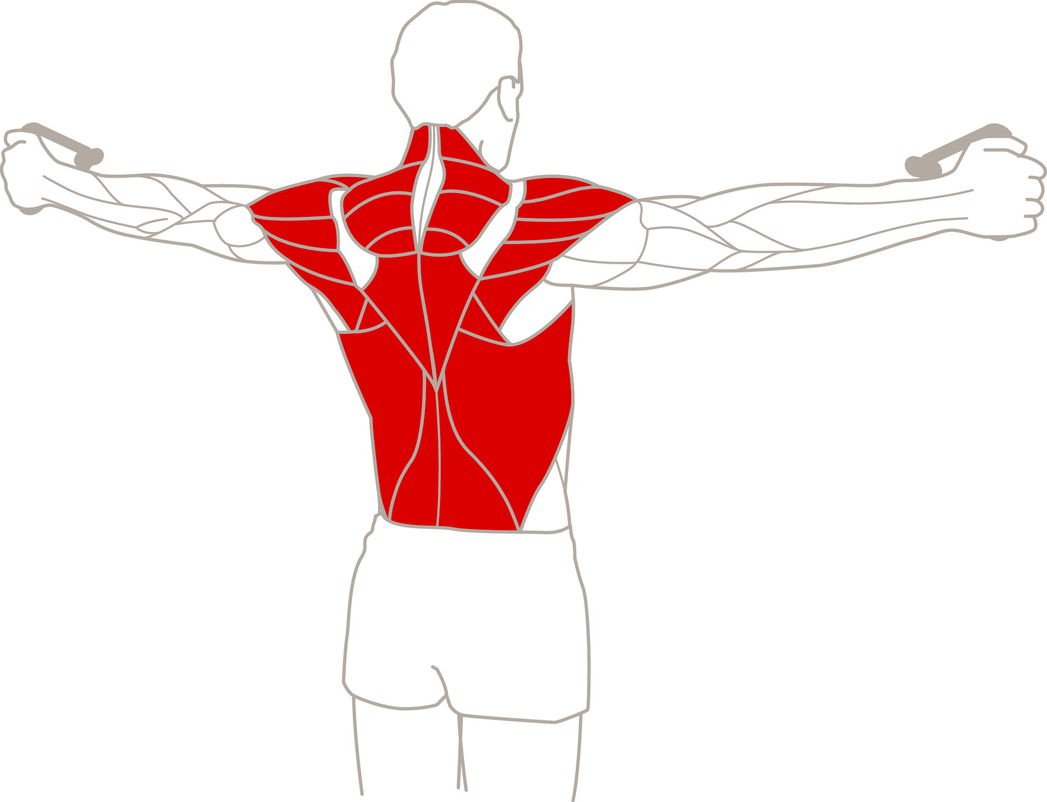 Cómo fortalecer la espalda