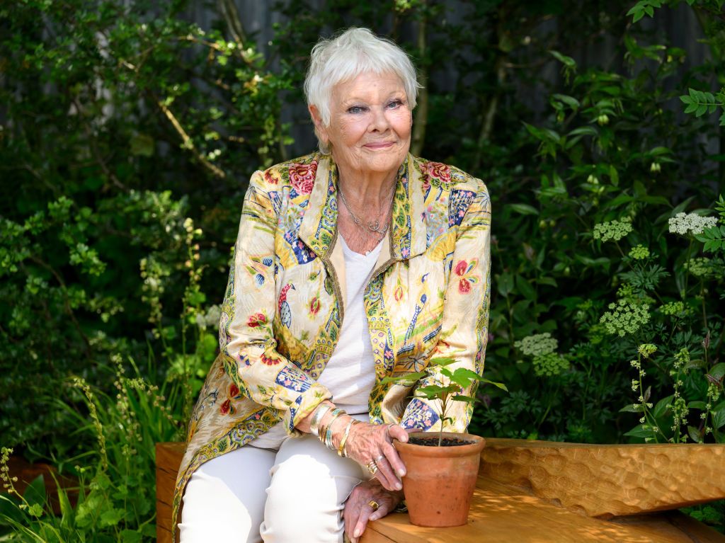 Judi Dench, de 89 años, podría retirarse de la actuación por problemas de salud