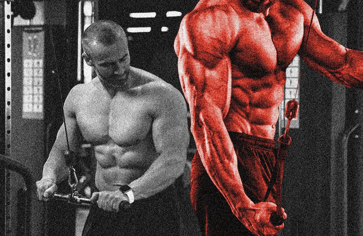 Los mejores entrenamientos de tríceps, ejercicios y consejos de crecimiento para brazos ENORMES