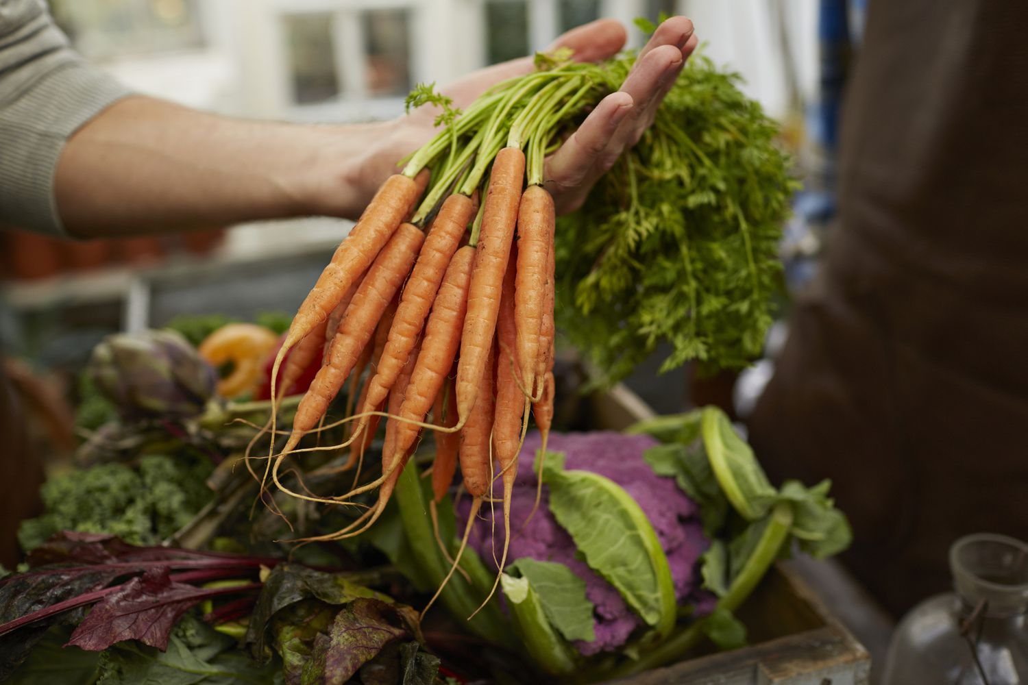 Zanahorias