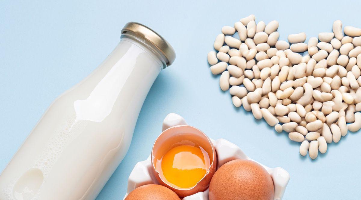 ¿Tus hormonas están desajustadas debido a demasiado—o muy poco—proteína?