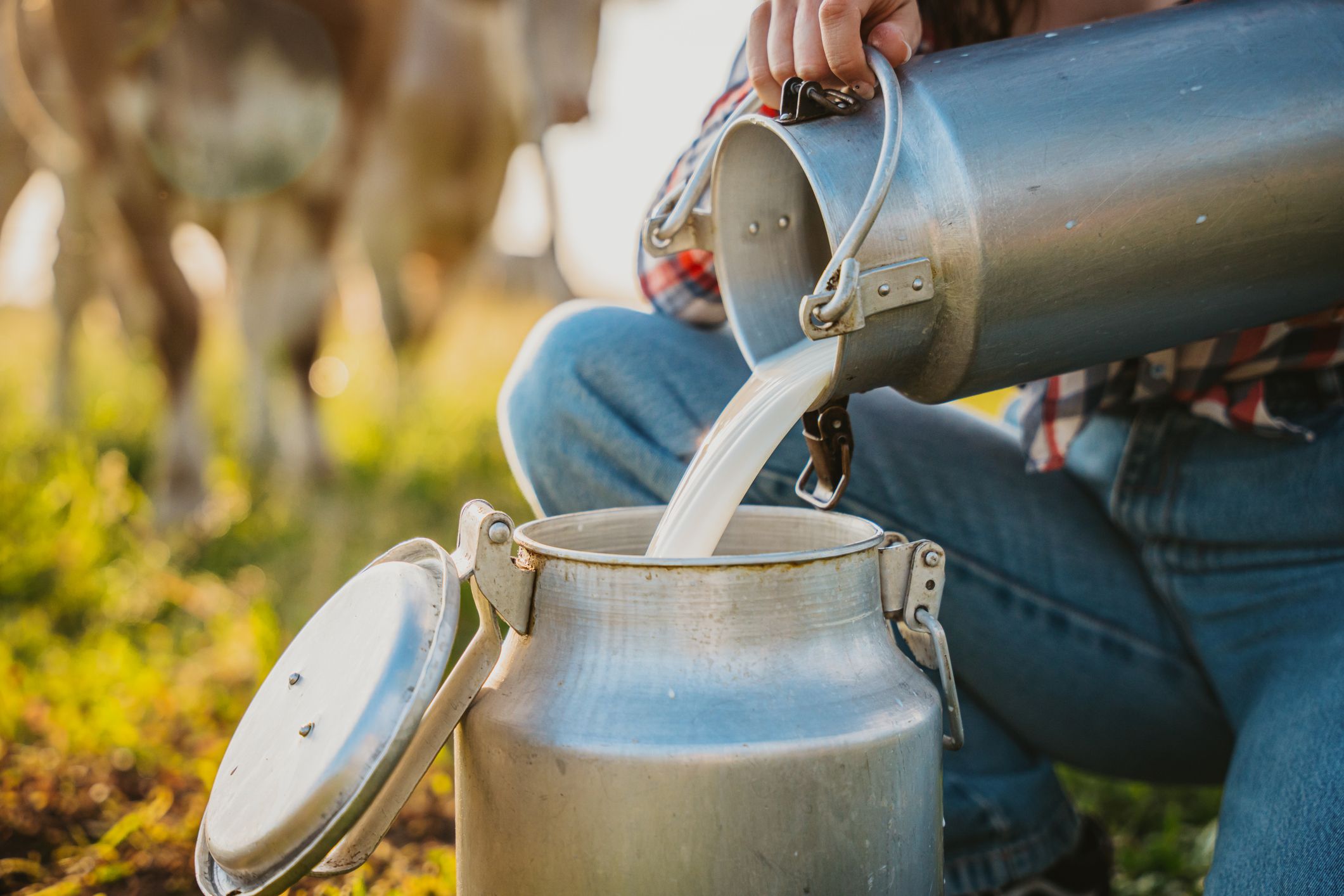 Tiktok Influencers Impulsan las Ventas de Leche Cruda - Pero Es una Mala Idea