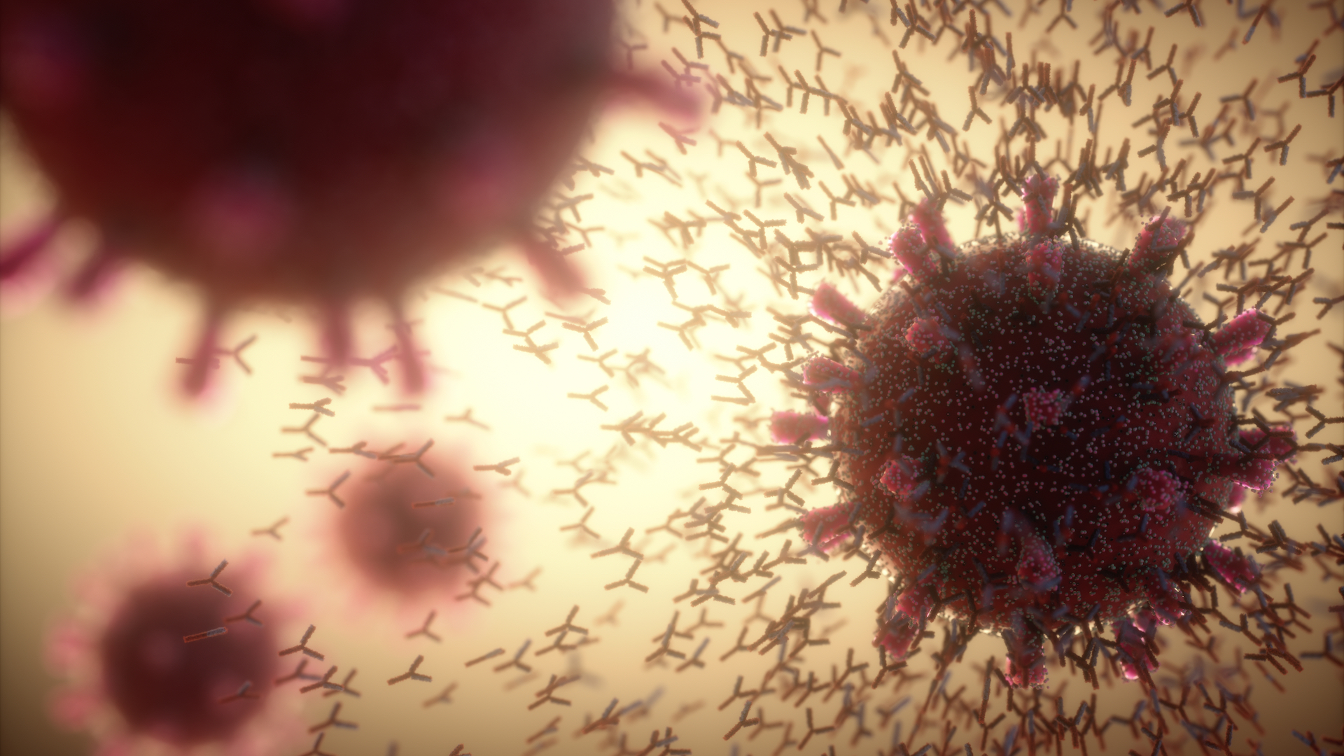Cómo tu salud puede depender del ADN de nuestros ancestros lejanos