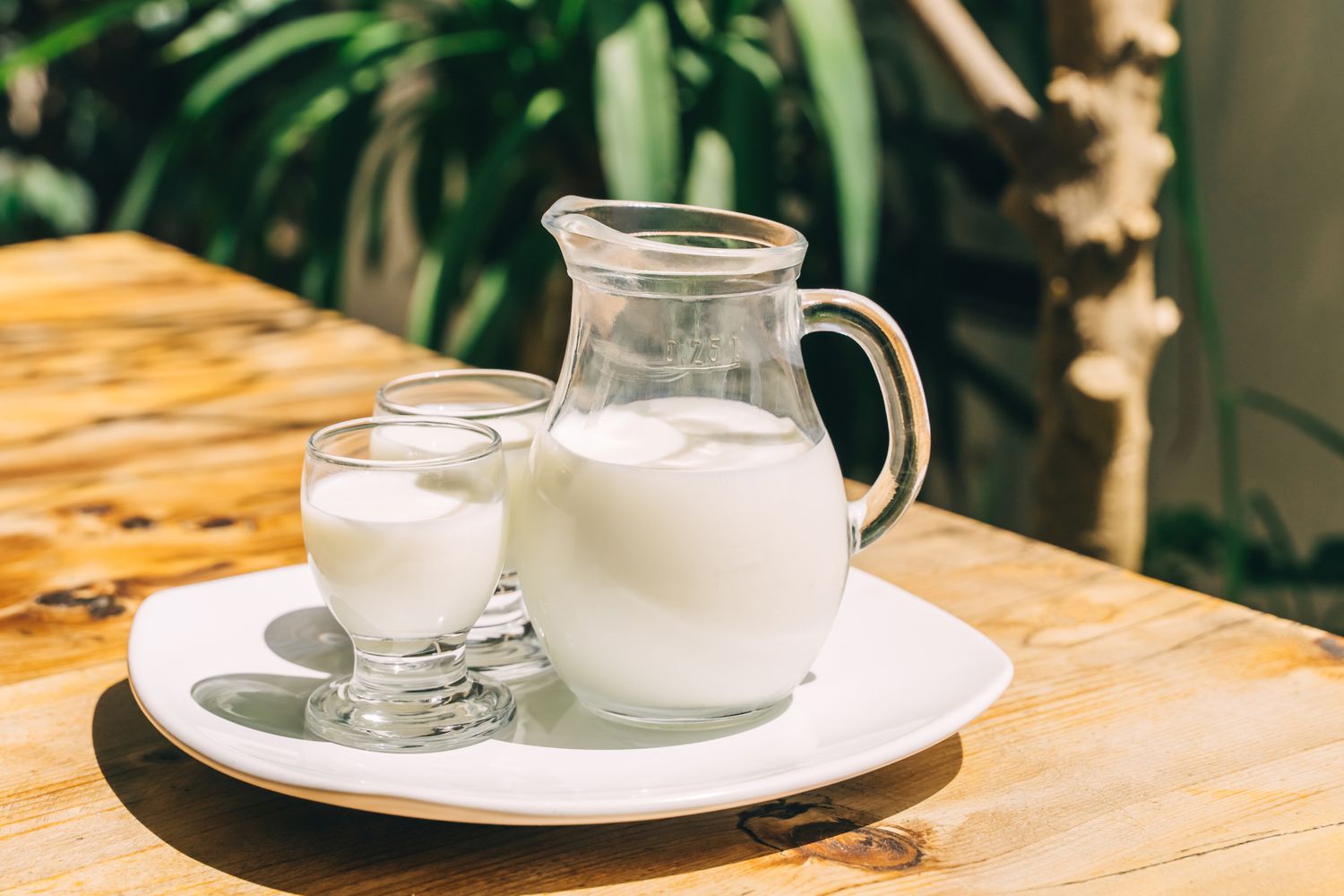 12 Bebidas Más Saludables Que No Son Agua