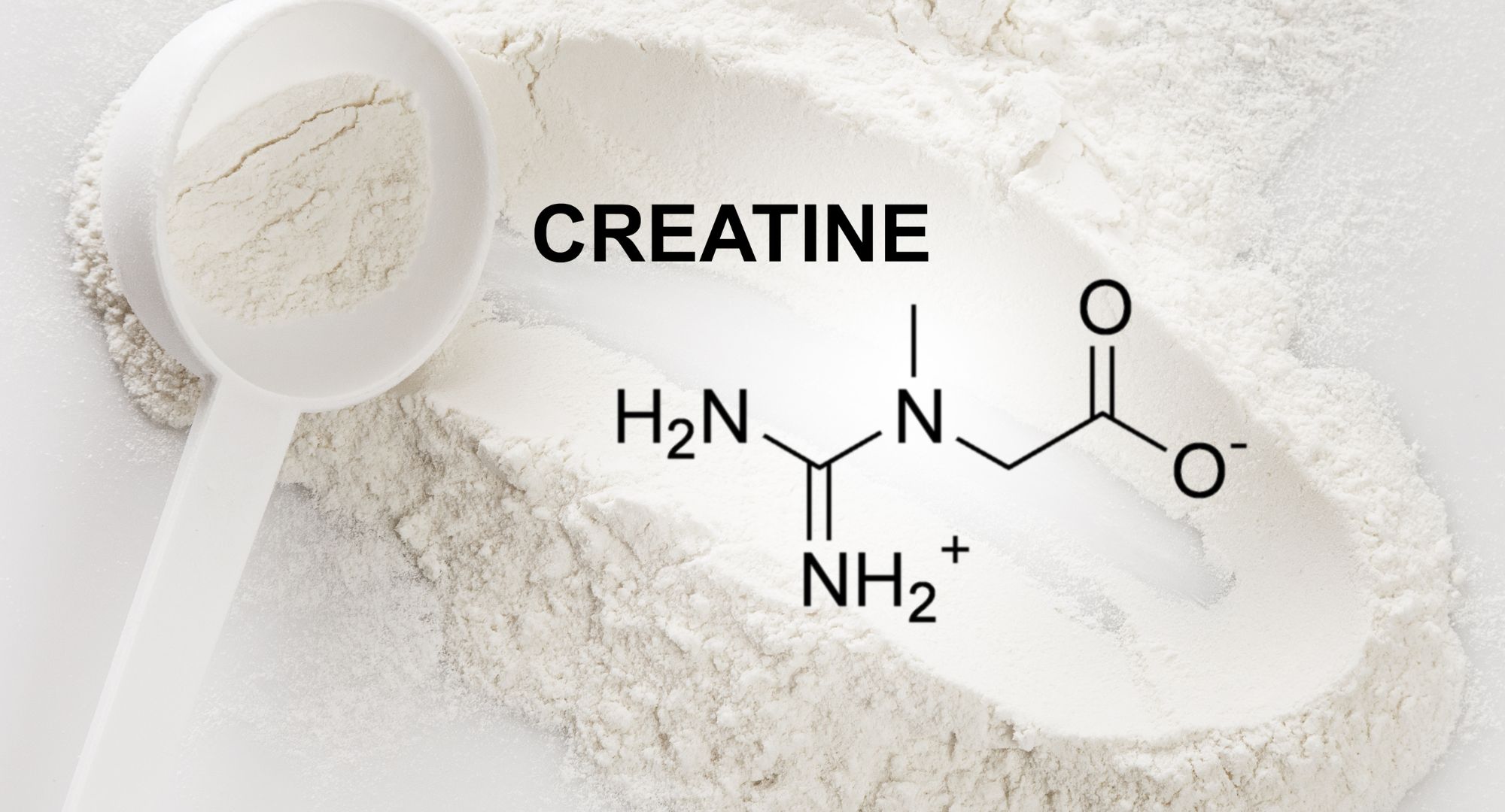 Gominolas de creatina vs. polvo: ¿Cuál es más efectivo?