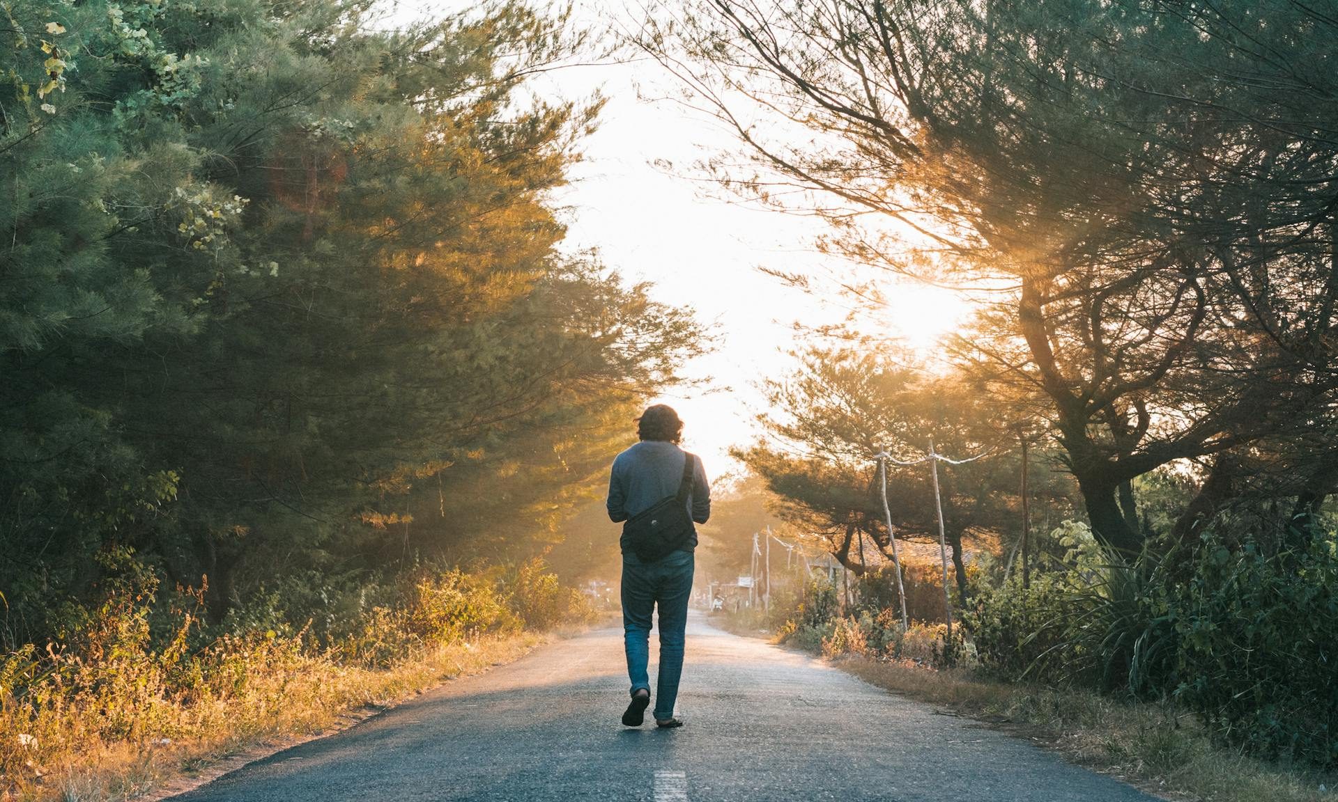 Man walking through sunlit trees