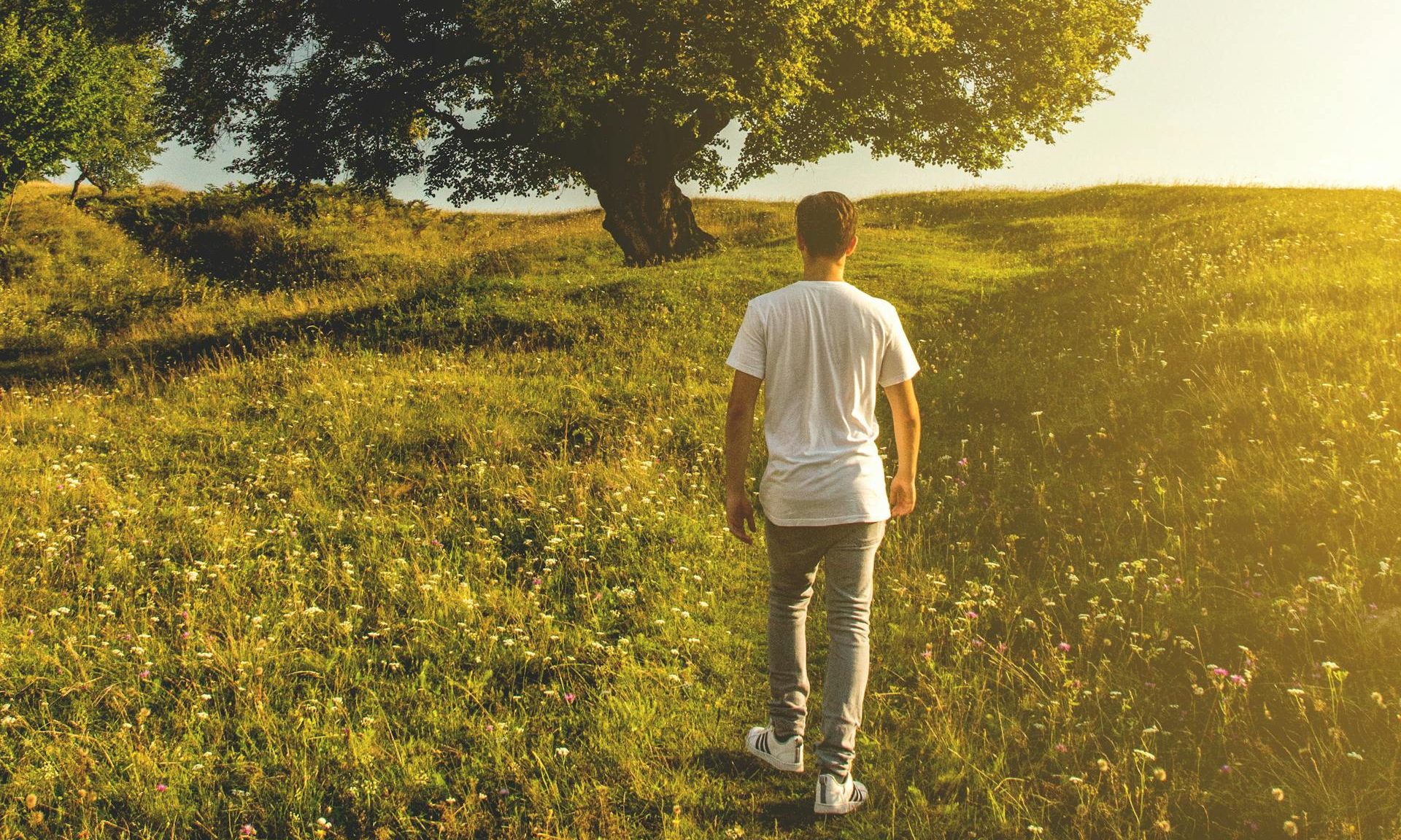 Man walking by a tree