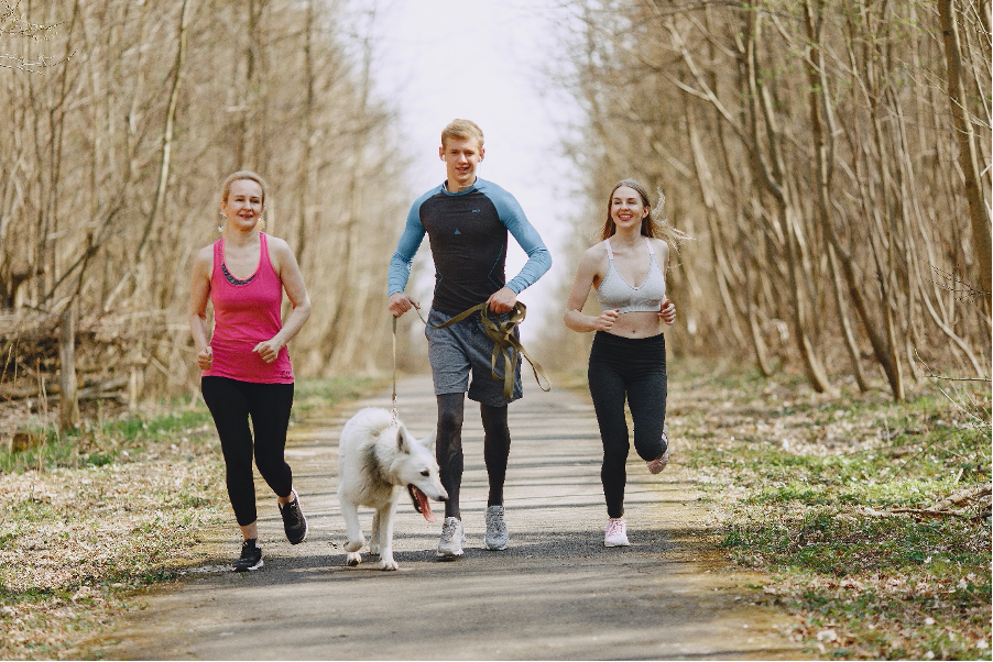 Maratón de Londres: Cómo tu perro te llevó a nuevas alturas