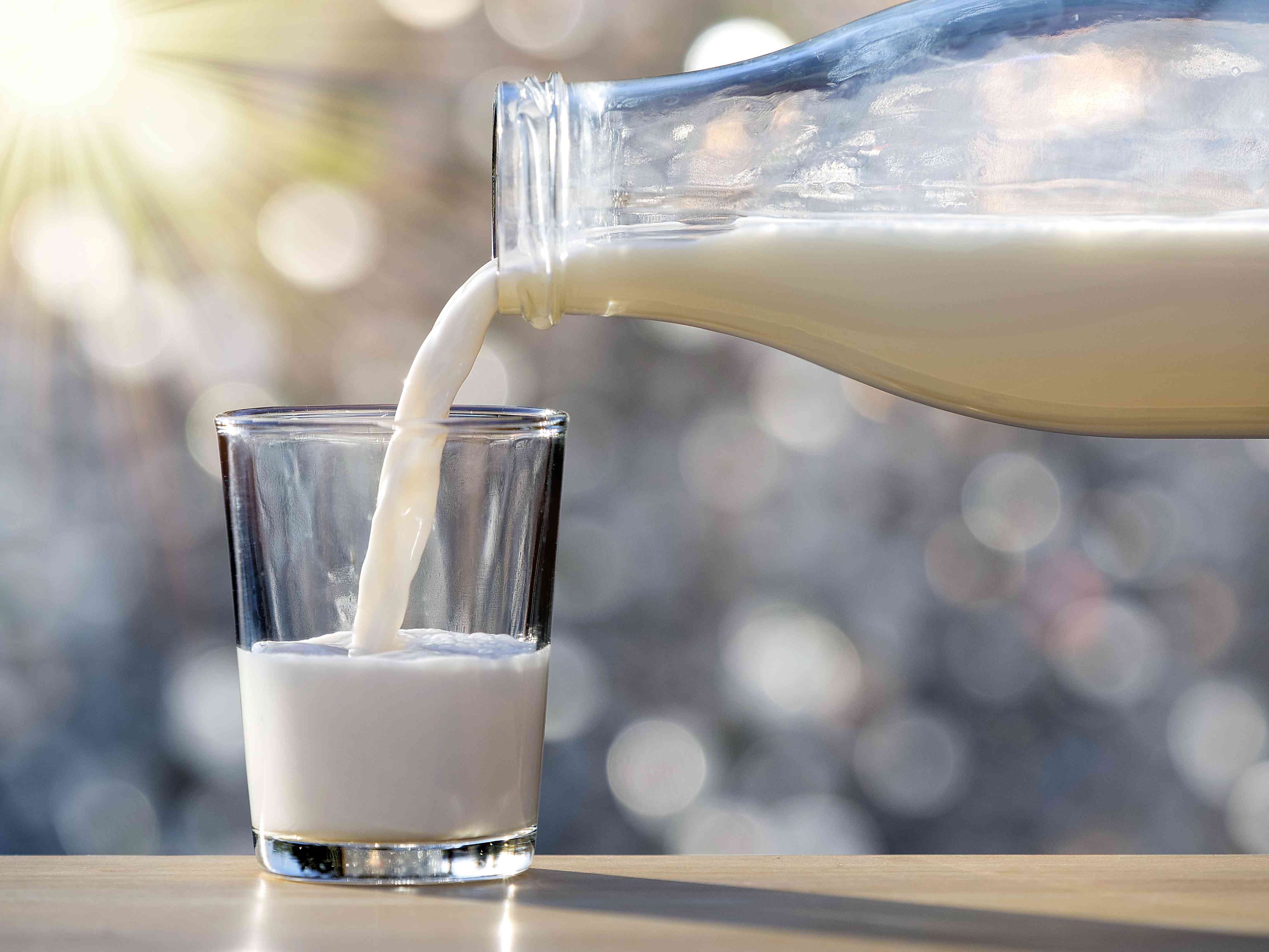La Leche Entera Está de Moda—¿Pero Realmente Es Buena Para Ti?