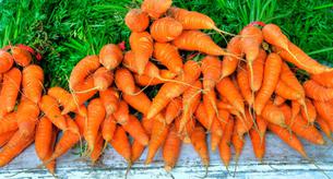 ¿Cómo saber si te falta vitamina A?