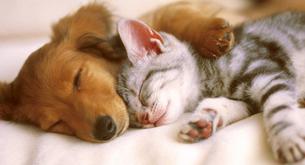 5 trucos para dormir de un tirón