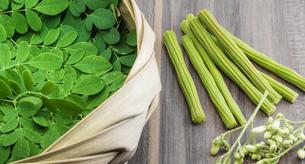 ¿Cuáles son las propiedades curativas de la moringa?